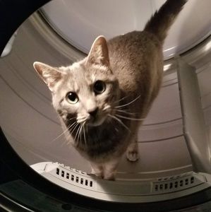 Meet your Posher, Sheila